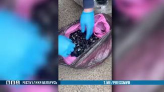 Скриншот видео МВД