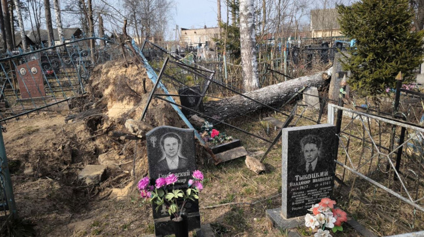 В Могилеве прокуратура указала на неудовлетворительное состояние некоторых воинских захоронений
