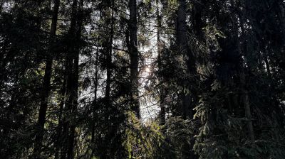 Фото из архива