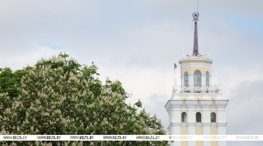 В Гомеле цветут каштаны