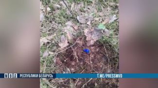 Скриншот видео МВД