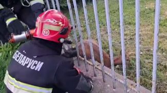 Скриншот видео МЧС
