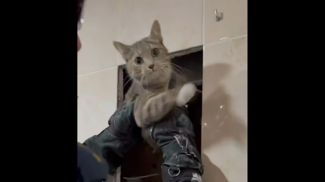 Скриншот видео МЧС