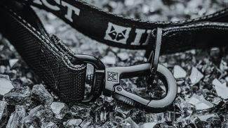 Фото Pexels