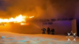 Скриншот видео МЧС