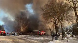 Скриншот видео МЧС