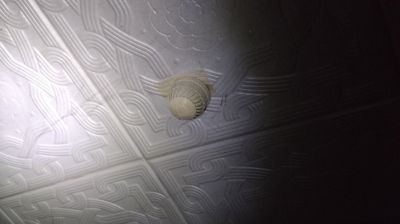 Фото Гомельского областного управления МЧС