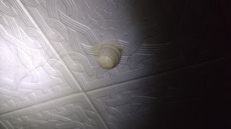 Фото Гомельского областного управления МЧС