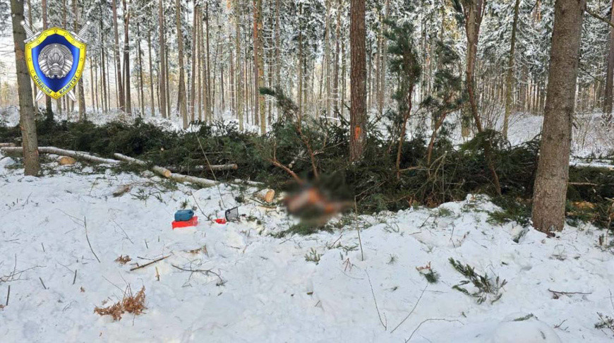 Фото Следственного комитета