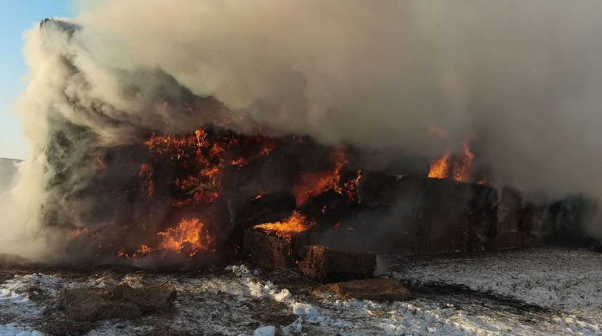 Фото Гродненского областного управления МЧС