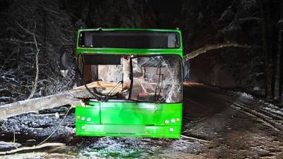 Фото УГАИ УВД Гомельского облисполкома