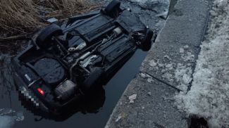 Фото Гомельской областной организации ОСВОД