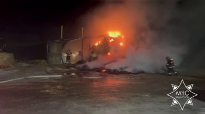 Скриншот видео МЧС