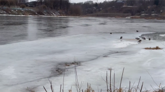 Скриншот видео телеканала  "Беларусь 4" Гродно 