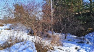 Фото Государственного комитета судебных экспертиз