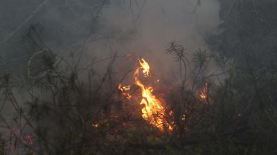 Фото из архива