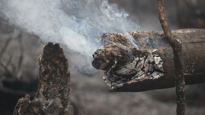 Фото из архива