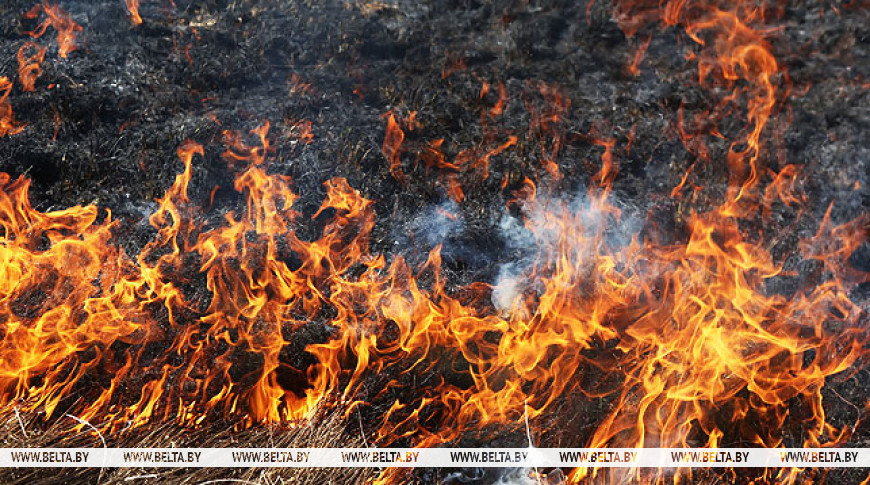 Фото из архива