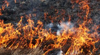 Фото из архива