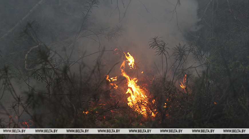 Фото из архива