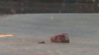 Фото ОСВОДа