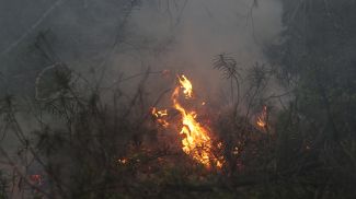 Фото из архива