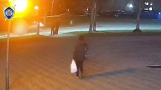 Скриншот видео СК