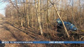 Фото УГАИ УВД Гомельского облисполкома