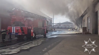 Скриншот видео МЧС