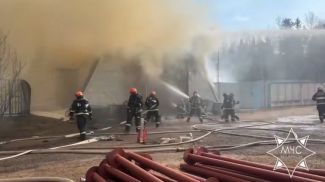 Скриншот видео МЧС