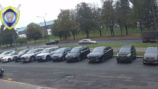 Скриншот видео СК