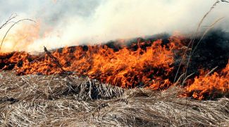 Фото их архива