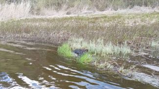 Фото ОСВОДа