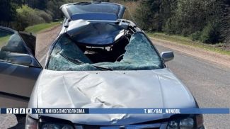 Фото УГАИ УВД Миноблисполкома