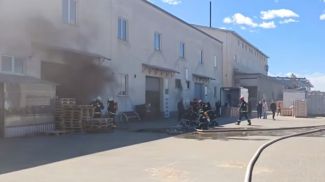 Скриншот видео МЧС