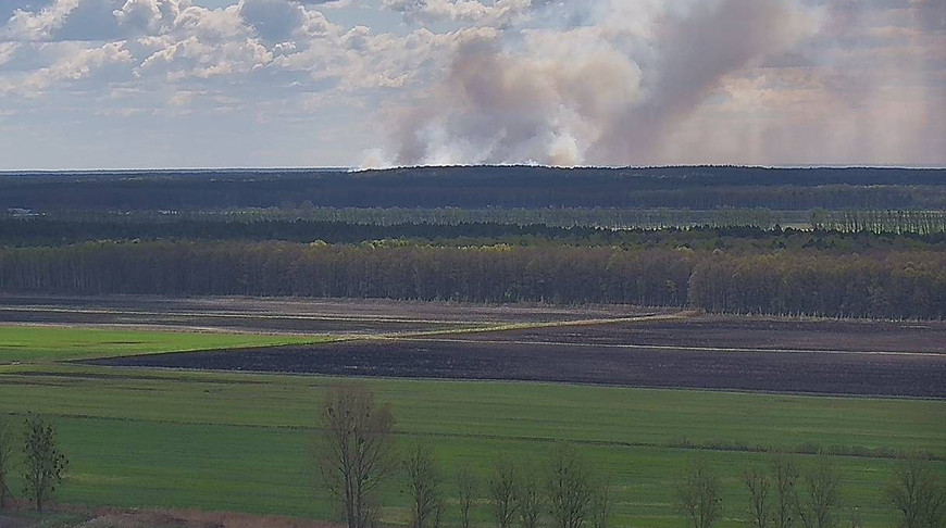 Верховой пожар вспыхнул в 4 км от границы с Беларусью, гослесохрана следит за ситуацией