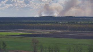 Фото Минлесхоза