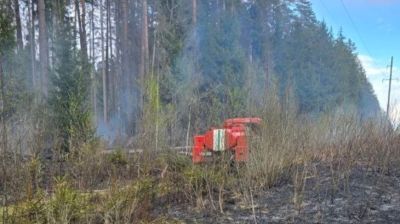 Фото Минлесхоза