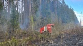 Фото Минлесхоза