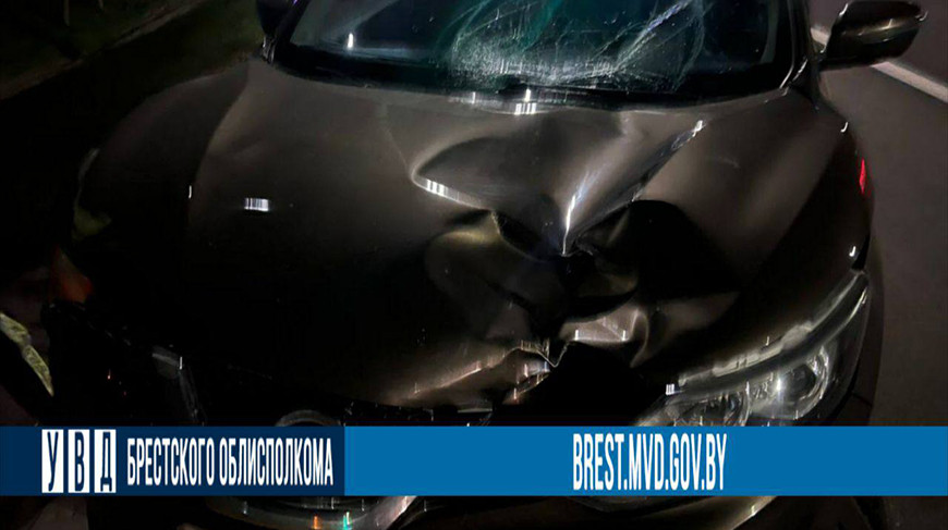 Два пешехода пострадали в ночных ДТП в Брестской области