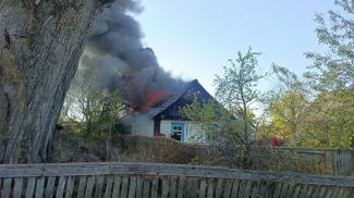 Фото Милошевичского лесхоза