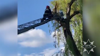 Скриншот видео МЧС
