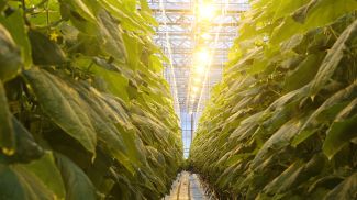 Фото из архива