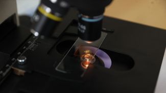 Фото из архива