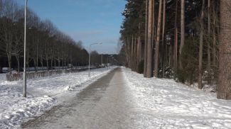 Фото news.tts.lt