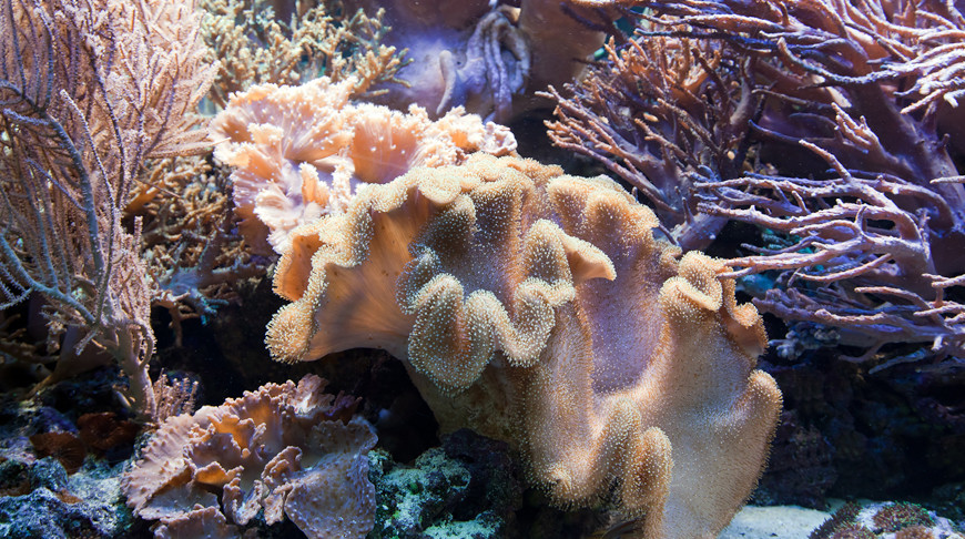 Фото freepik.com