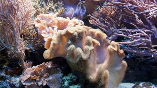 Фото freepik.com