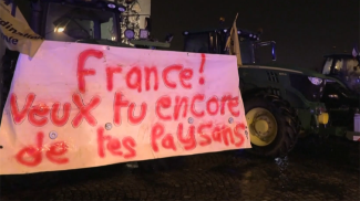 Скриншот видео euronews.com