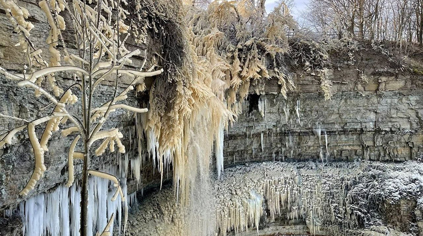 Скриншот видео из соцсетей