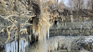 Скриншот видео из соцсетей